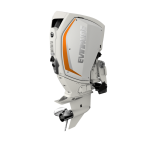 Evinrude E-TEC G2 225 H.O.